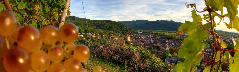 Staufen im Breisgau